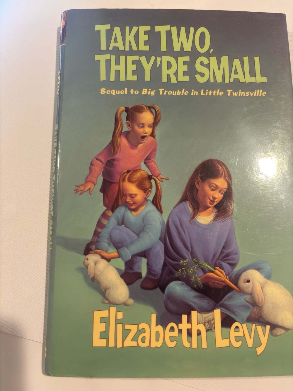 Take Two, They're Small by Elizabeth Levy (2003 First Edition Hardcover)